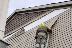 Best Fascia and Soffit Installation  in Azle, TX